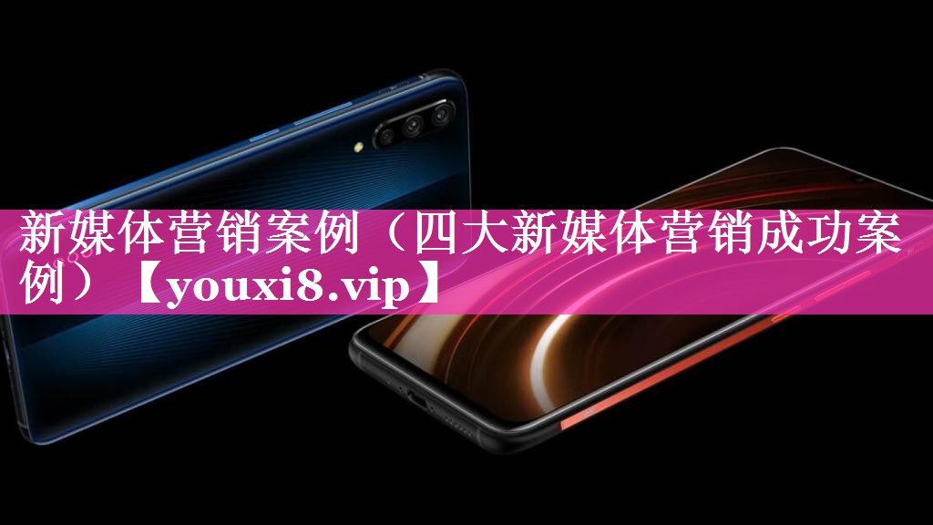 新媒体营销案例（四大新媒体营销成功案例）