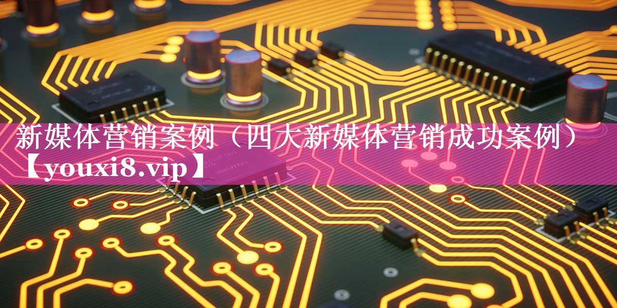 新媒体营销案例（四大新媒体营销成功案例）