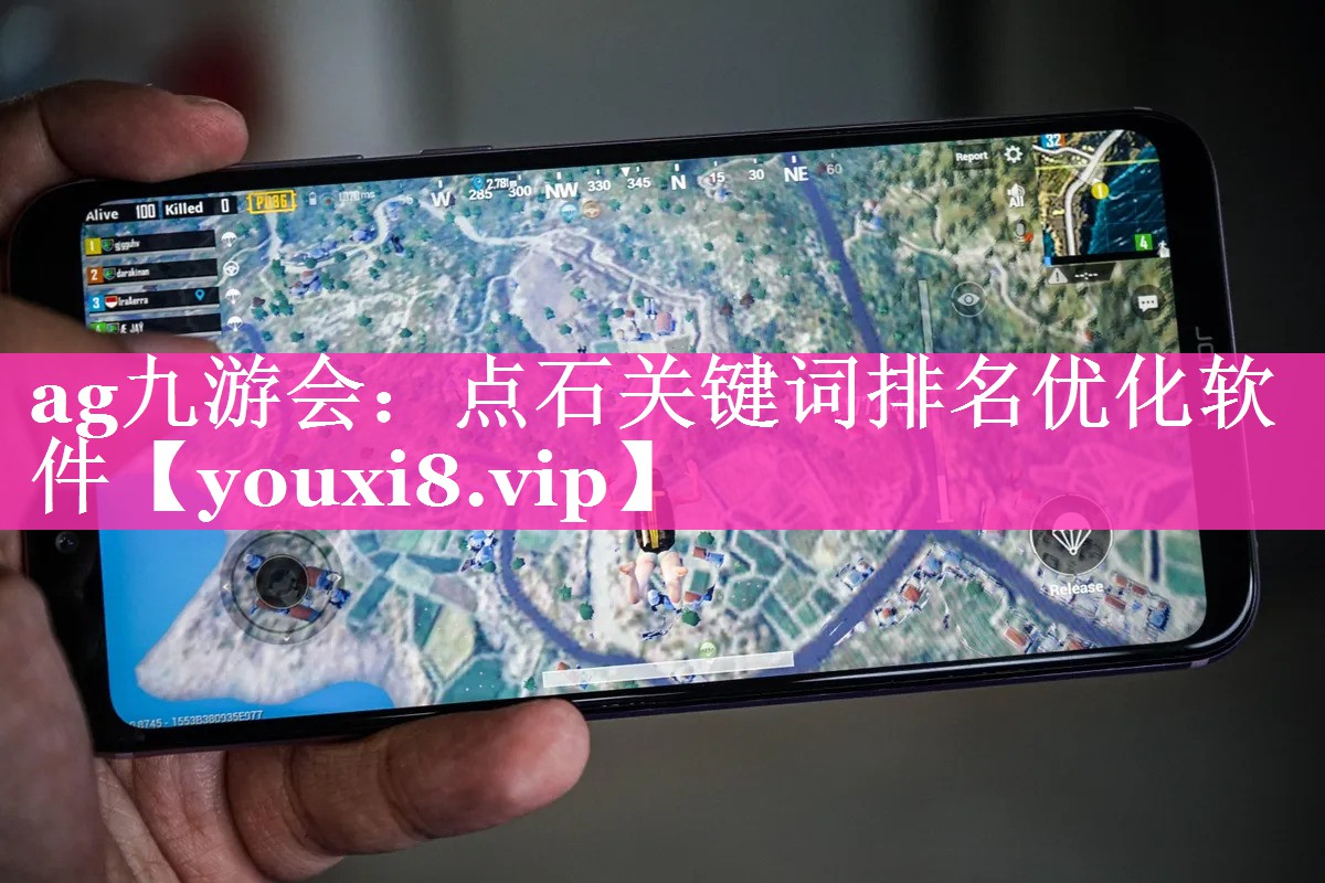 点石关键词排名优化软件